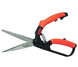 kleine Buchsbaumschere